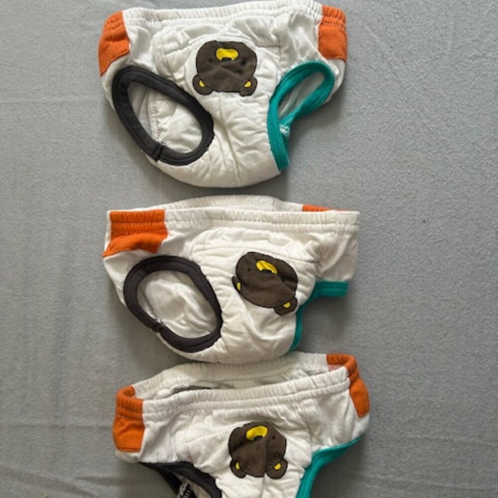 Tiny Trainers - small training underwear